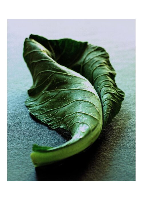 Nobody Greeting Card featuring the photograph A Collard Leaf by Romulo Yanes