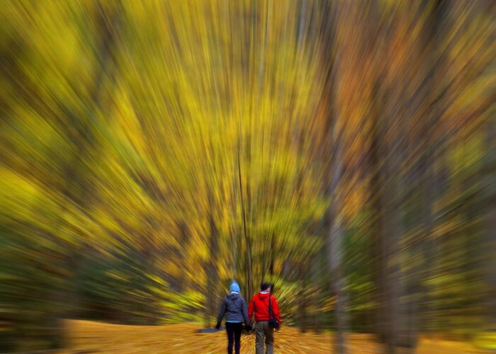 Creative Greeting Card featuring the photograph A Fall Stroll Taughannock by Jerry Fornarotto