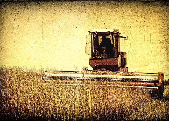 Lincoln Rogers Greeting Card featuring the photograph A Field for Harvest by Lincoln Rogers