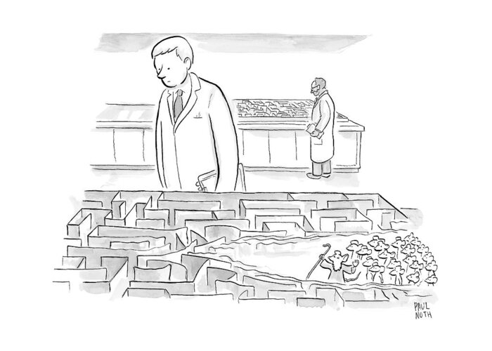 Maze Greeting Card featuring the drawing A Laboratory Scientist Looks On As The Walls by Paul Noth
