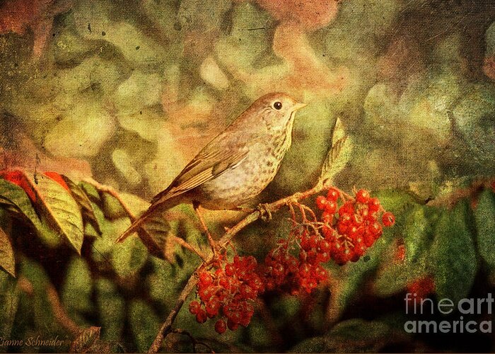Sparrow Greeting Card featuring the digital art A Little Bird With Plumage Brown by Lianne Schneider