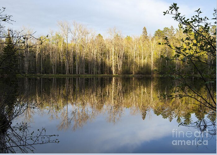 Spring River Images Greeting Card featuring the photograph A Look Across The River by Dan Hefle