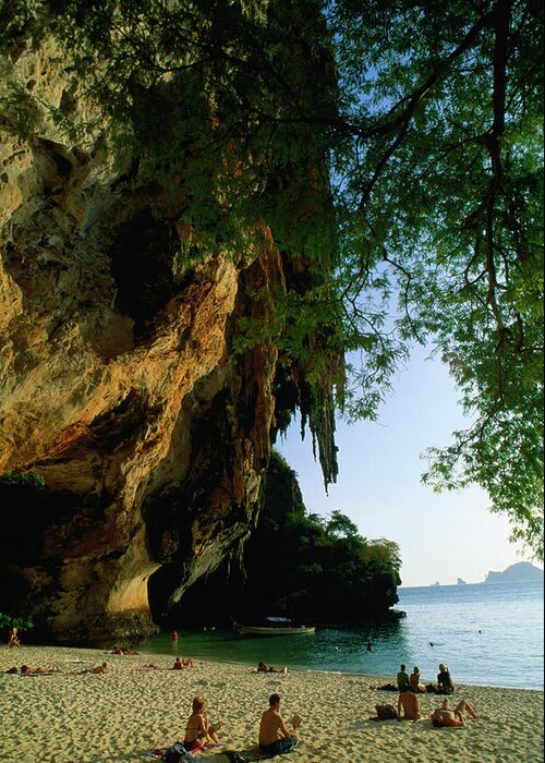 Tropical Tree Greeting Card featuring the photograph A Melting Limestone Cliff Hangs Over by Anders Blomqvist