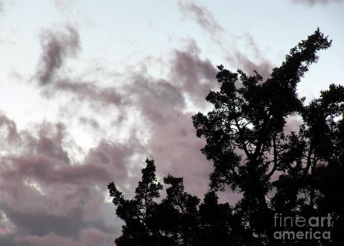 Clouds Greeting Card featuring the photograph A Mirror To My Eyes by Brian Commerford