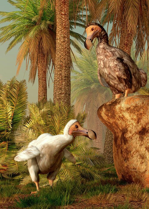 Prehistoric Era Greeting Card featuring the digital art A Pair Of Dodo Birds Play A Game Of by Daniel Eskridge/stocktrek Images