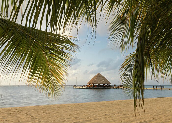 Beach Greeting Card featuring the photograph A Palapa And Sandy Beach, Placencia by William Sutton