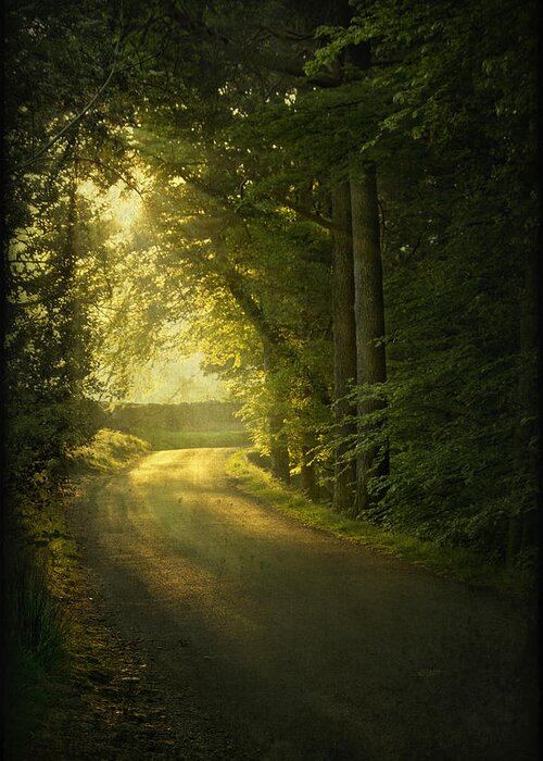 Road Greeting Card featuring the photograph A Path To The Light by Evelina Kremsdorf