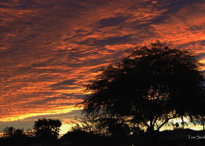 A Phoenix Sunset Greeting Card featuring the photograph A Phoenix Sunset by Tom Janca