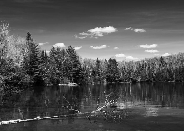 Monochrome Landscape Greeting Card featuring the photograph A Quiet Cove by Dan Hefle