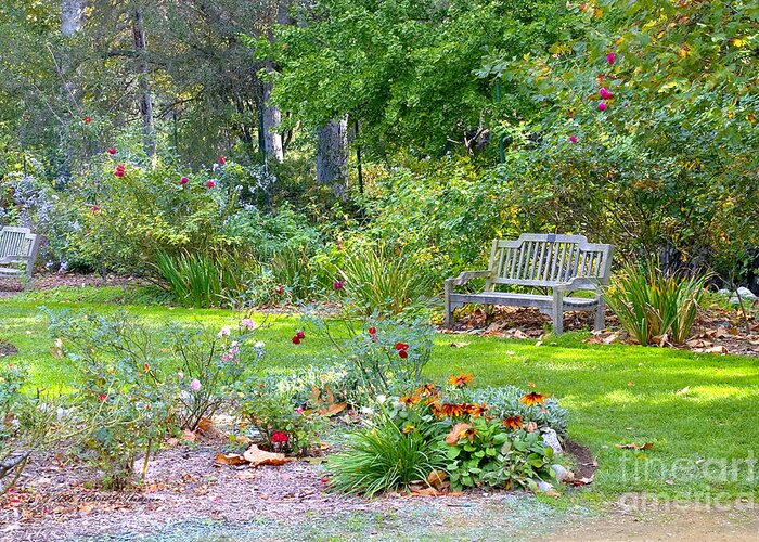 Bench Greeting Card featuring the photograph A Quiet Day In The Park by Richard J Thompson 