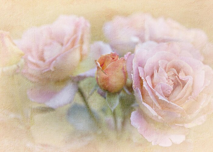 Blossoms Greeting Card featuring the photograph A Rose By Any Other Name by Theresa Tahara