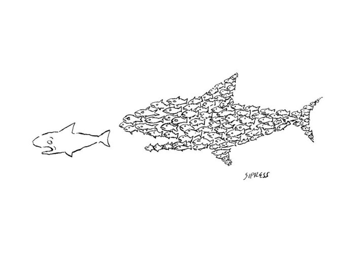 Captionless Greeting Card featuring the drawing A Shark Is Chased By A School Of Fish That by David Sipress