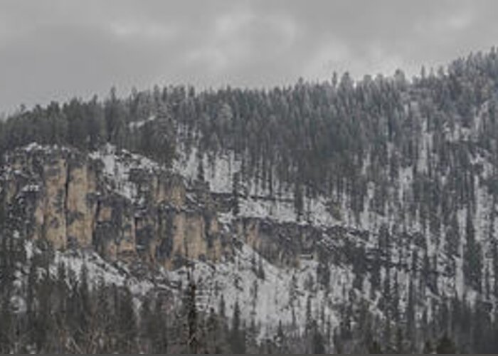 Canyon Greeting Card featuring the photograph A Snowy Day In Spearfish Canyon Of South Dakota by Steve Triplett