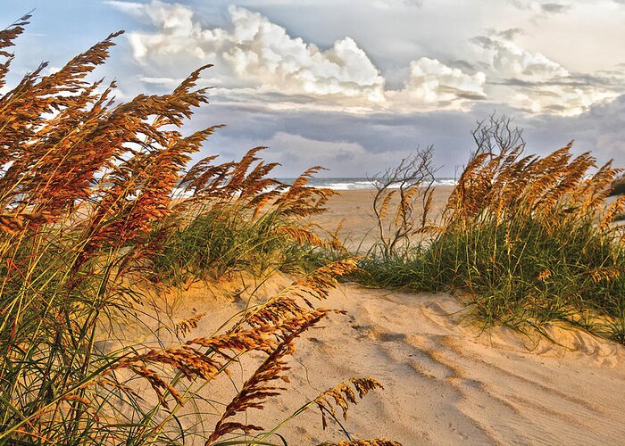 North Carolina Greeting Card featuring the painting A Splendid Day at the Beach - Outer Banks by Dan Carmichael