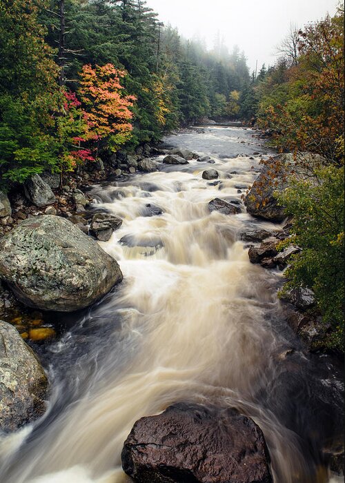 Ausable River Greeting Card featuring the photograph A Touch Of Fall by Mark Papke