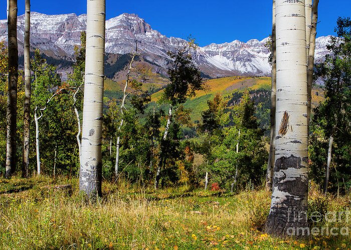 Autumn Colors Greeting Card featuring the photograph A Vision of Telluride by Jim Garrison