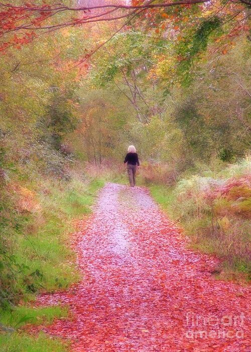 Autumn Greeting Card featuring the photograph A walk in Autumn by Joe Cashin