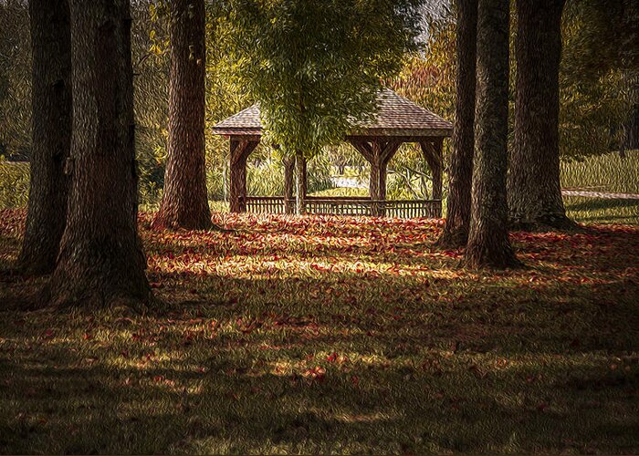 Fall Colors Greeting Card featuring the photograph A Walk In The Park by Cindy Rubin