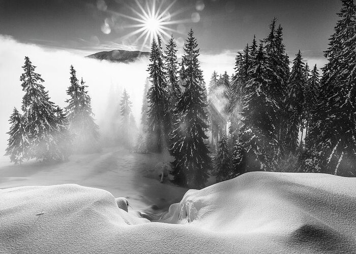Winter Greeting Card featuring the photograph A Winter Tale ! by Sorin Onisor