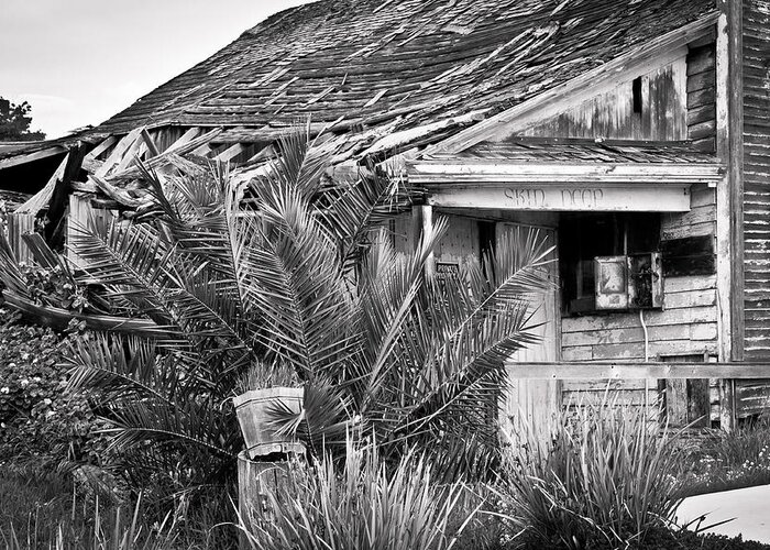 Skin Deep Greeting Card featuring the photograph Abandoned Alviso by Priya Ghose