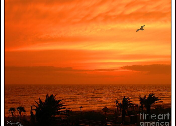 Sunset Greeting Card featuring the photograph Ablaze by Mariarosa Rockefeller