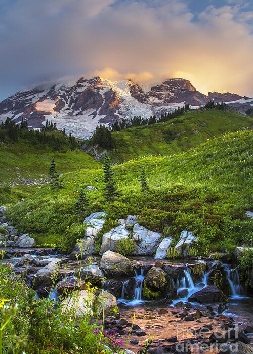 Mt. Rainier National Park Greeting Card featuring the photograph Above Myrtle Falls 3 by Sonya Lang