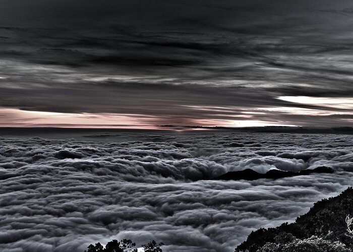 Mt Wilson Greeting Card featuring the photograph Above the Marine Layer V2 by Richard J Cassato