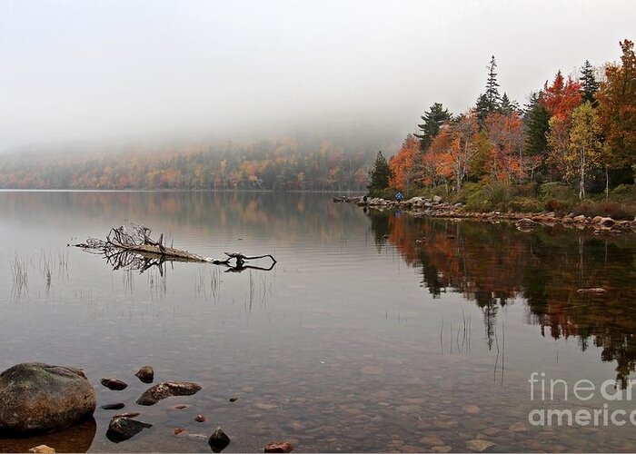 Acadia National Park Greeting Card featuring the photograph Acadia in the Fog by Karin Pinkham