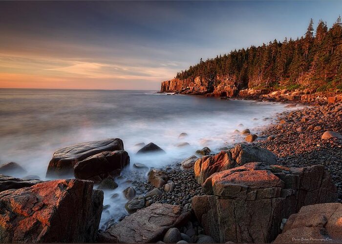 Acadia Greeting Card featuring the photograph Acadia Otter Cliffs by Daniel Behm