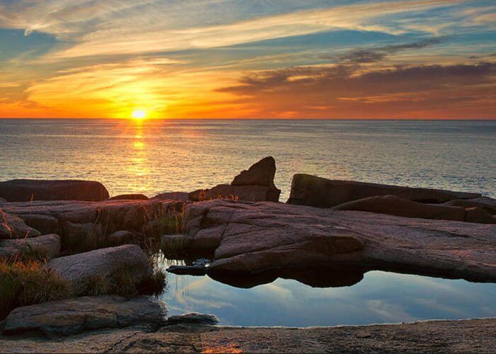 Acadia Greeting Card featuring the photograph Acadia Sunrise by Darylann Leonard Photography
