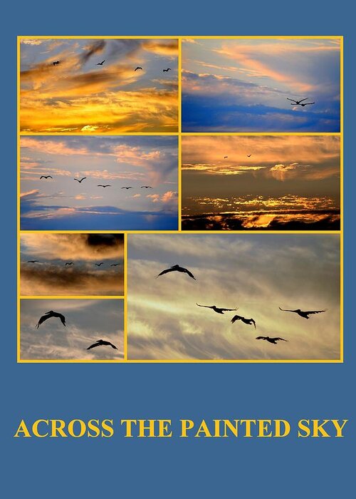 Poster Greeting Card featuring the photograph Across the Painted Sky by AJ Schibig