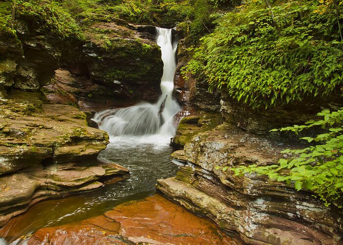 Waterfalls Greeting Card featuring the photograph Adams Falls by Tom Kelly