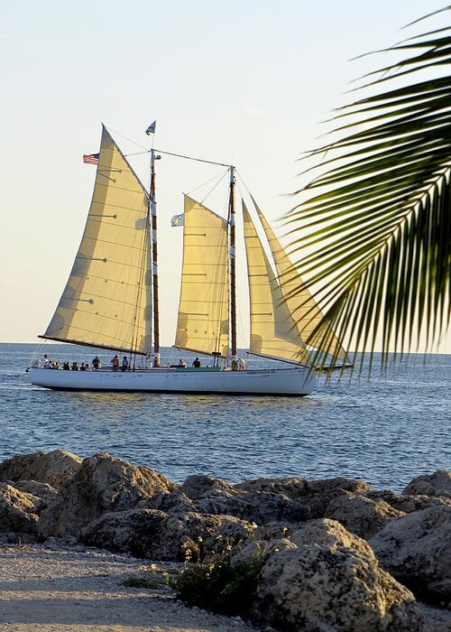 Water Greeting Card featuring the photograph Sailing on the Adirondack in Key West by Bob Slitzan