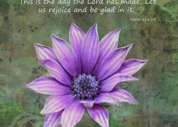 African Daisy Greeting Card featuring the photograph African Daisy With Scripture by Sandi OReilly