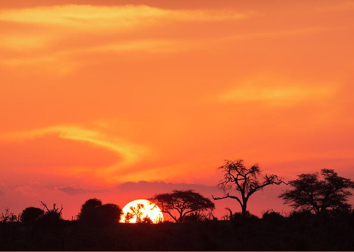 Scenics Greeting Card featuring the photograph African Sunset In The Okavango Delta by Buena Vista Images