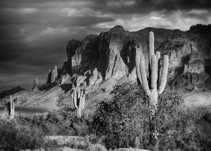 Arizona Greeting Card featuring the photograph After The Rain in Black and White by Saija Lehtonen