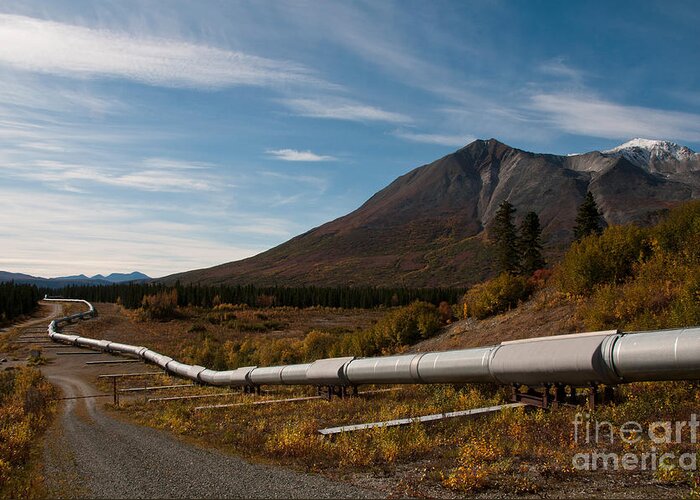 Nature Greeting Card featuring the photograph Alaska Oil Pipeline by Mark Newman