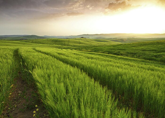 Tranquility Greeting Card featuring the photograph Alba In Val Dorcia by Www.matteorinaldi.it