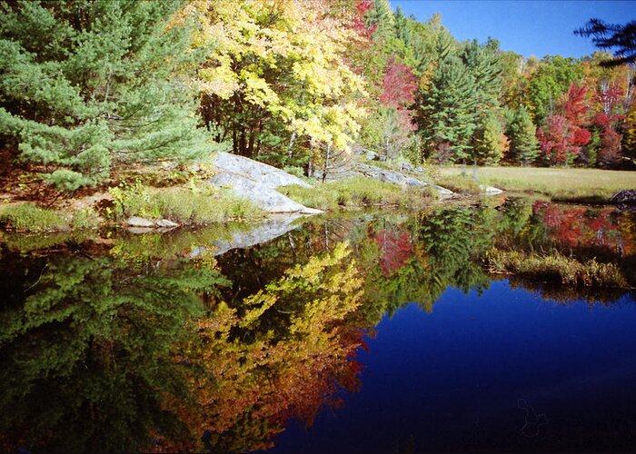 Nature Greeting Card featuring the photograph Algonquin Reflection by David Porteus