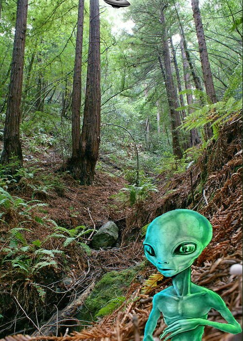 Alien Greeting Card featuring the photograph Alien in Redwood Forest by Ben Upham III