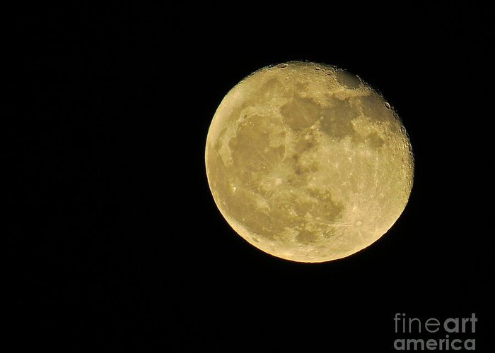 Moon Greeting Card featuring the photograph Almost Full by Nancy Patterson