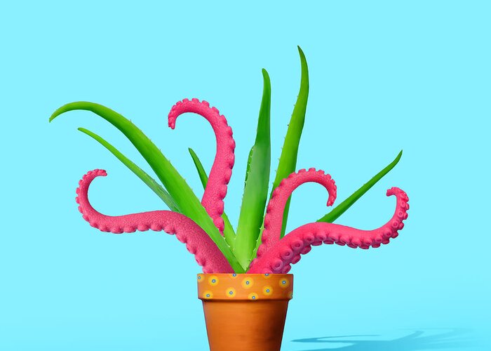 Environmental Conservation Greeting Card featuring the photograph Aloe Plant With Octopus Tentacles by Juj Winn