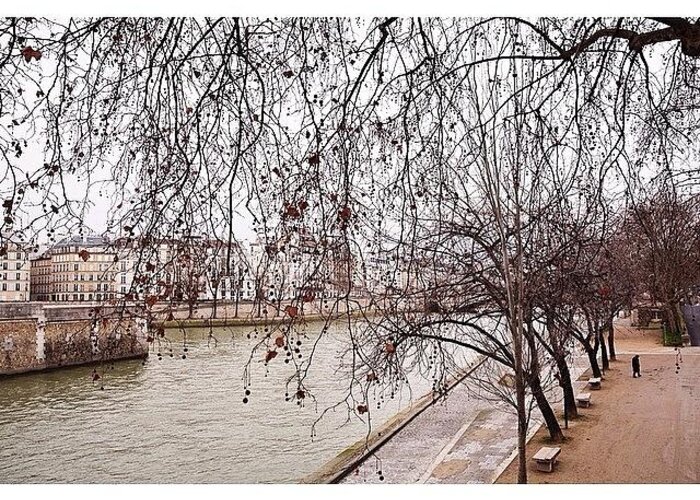  Greeting Card featuring the photograph Alone By The Seine by Alex Hill
