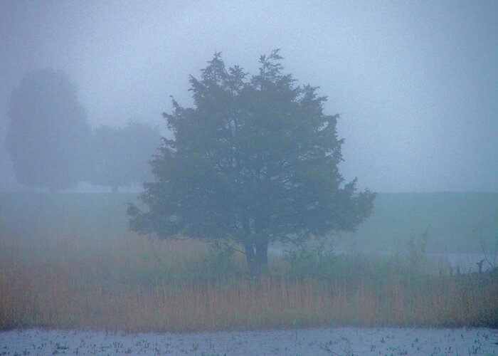 Fog Greeting Card featuring the photograph Alone in the fog by Nancy Landry