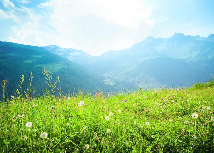 Scenics Greeting Card featuring the photograph Alpine Meadow by Brzozowska