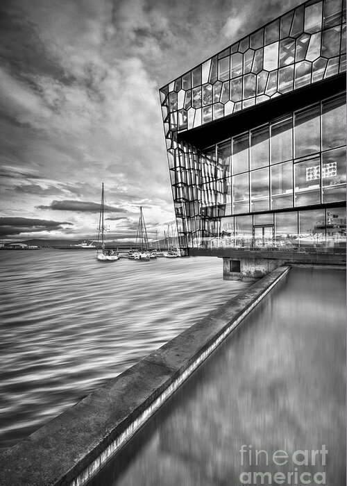 Harpa Greeting Card featuring the photograph Amaze Me by Evelina Kremsdorf