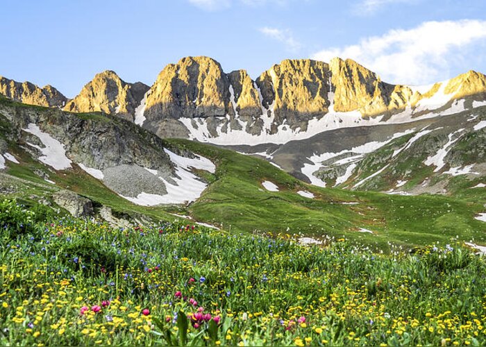 American Basin Greeting Card featuring the photograph American Basin Wildflowers by Aaron Spong