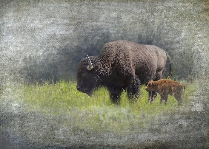 Art Greeting Card featuring the photograph American Buffalo Mother and Calf by Randall Nyhof