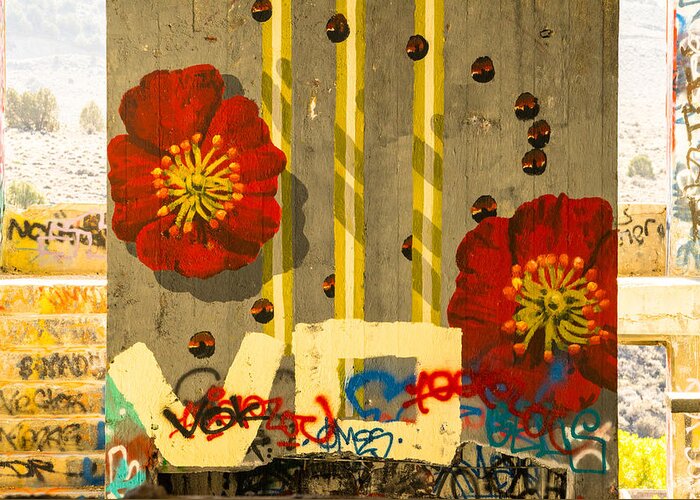 Graffiti Greeting Card featuring the photograph American Flat Artwork by Janis Knight