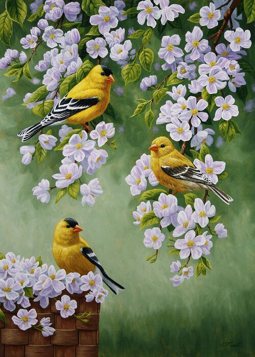 Bird Greeting Card featuring the painting American Goldfinches and Apple Blossoms by Crista Forest